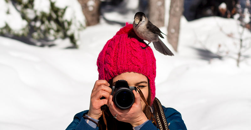 RSPB Big Garden Birdwatch 2023