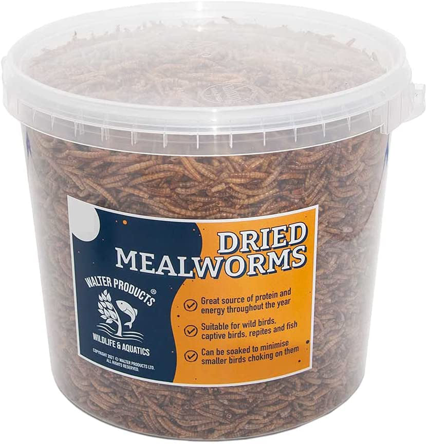 Petco mealworms in outlet store