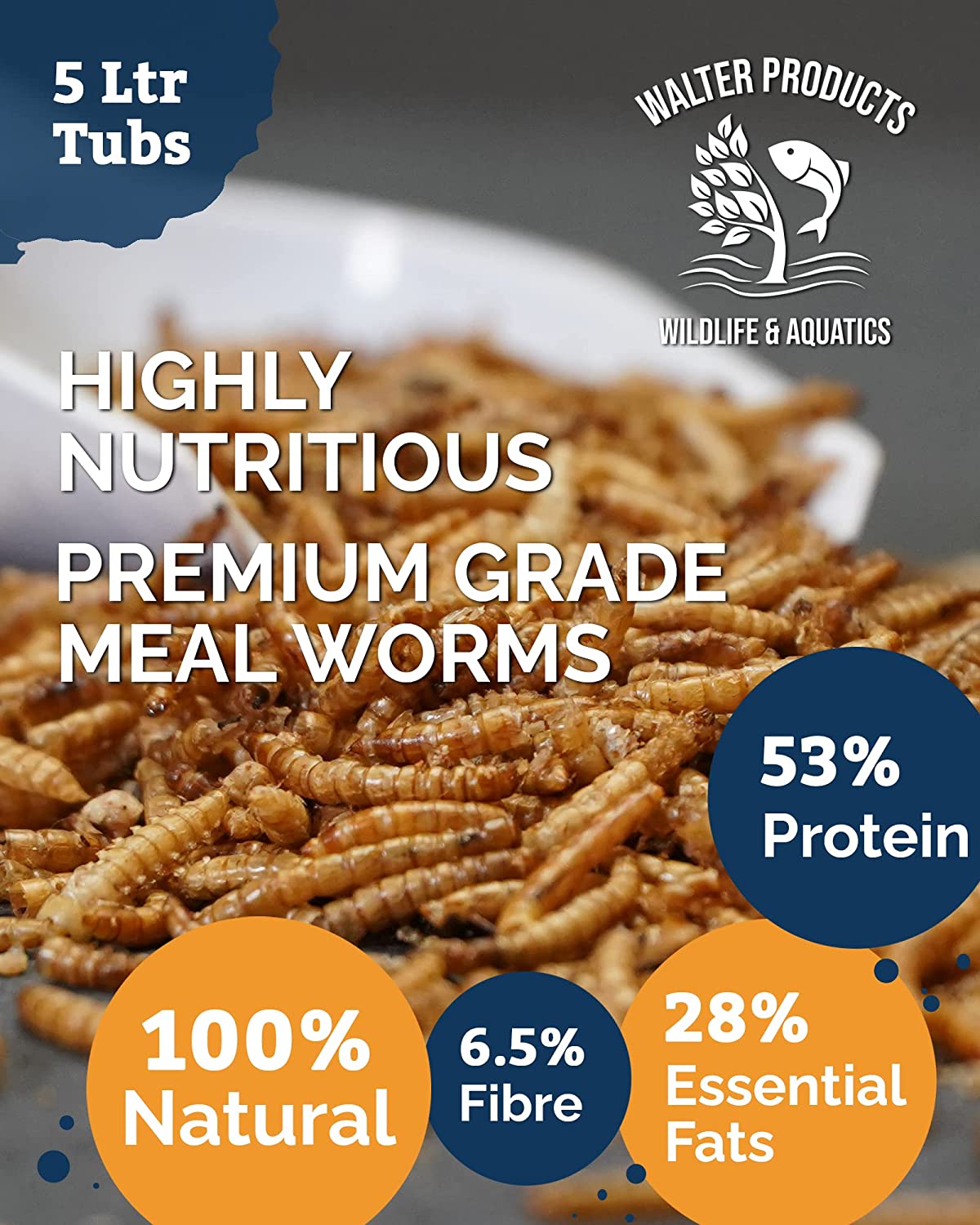 Walter’s Mealworms